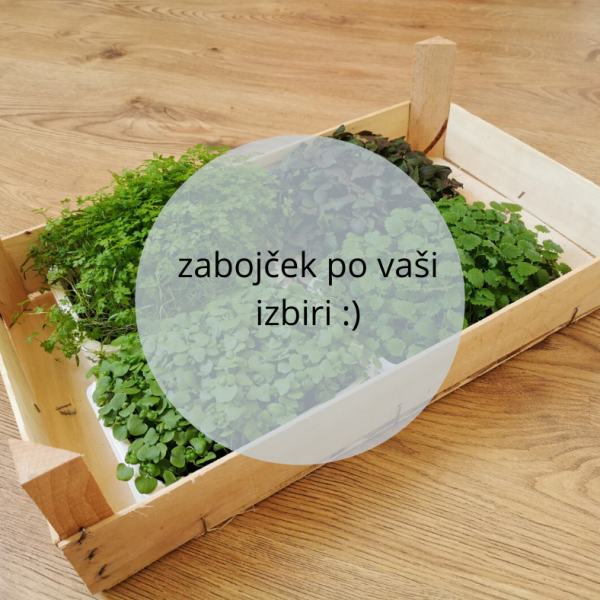 zabojček po vaši izbiri