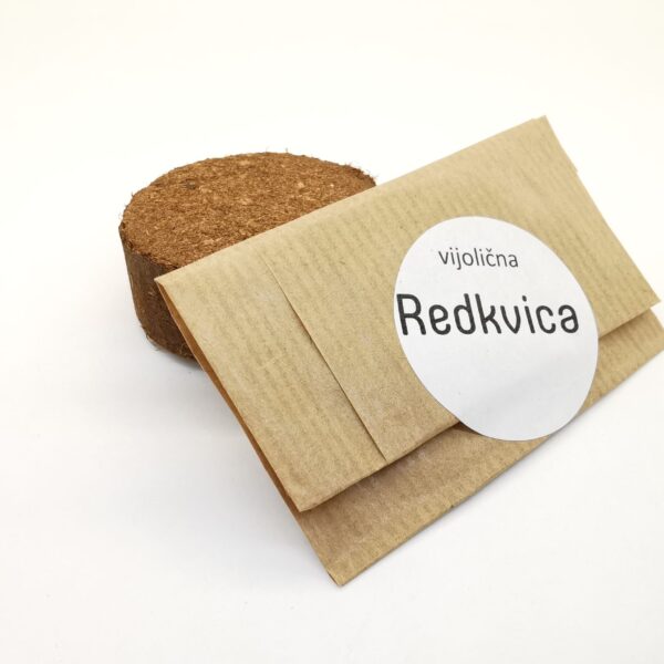 vijolična redkvica