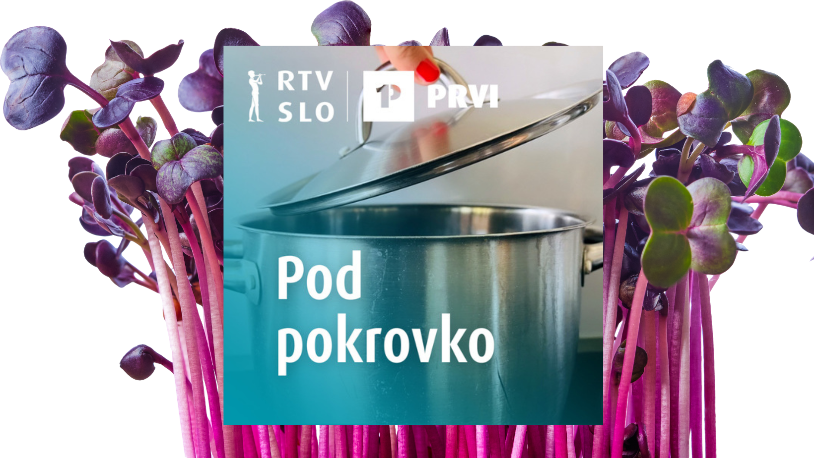 pod_pokrovko_mikrozelenje